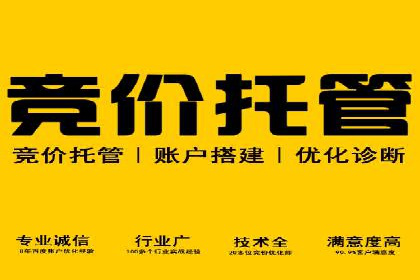 SEM竞价代运营公司案例实战指南